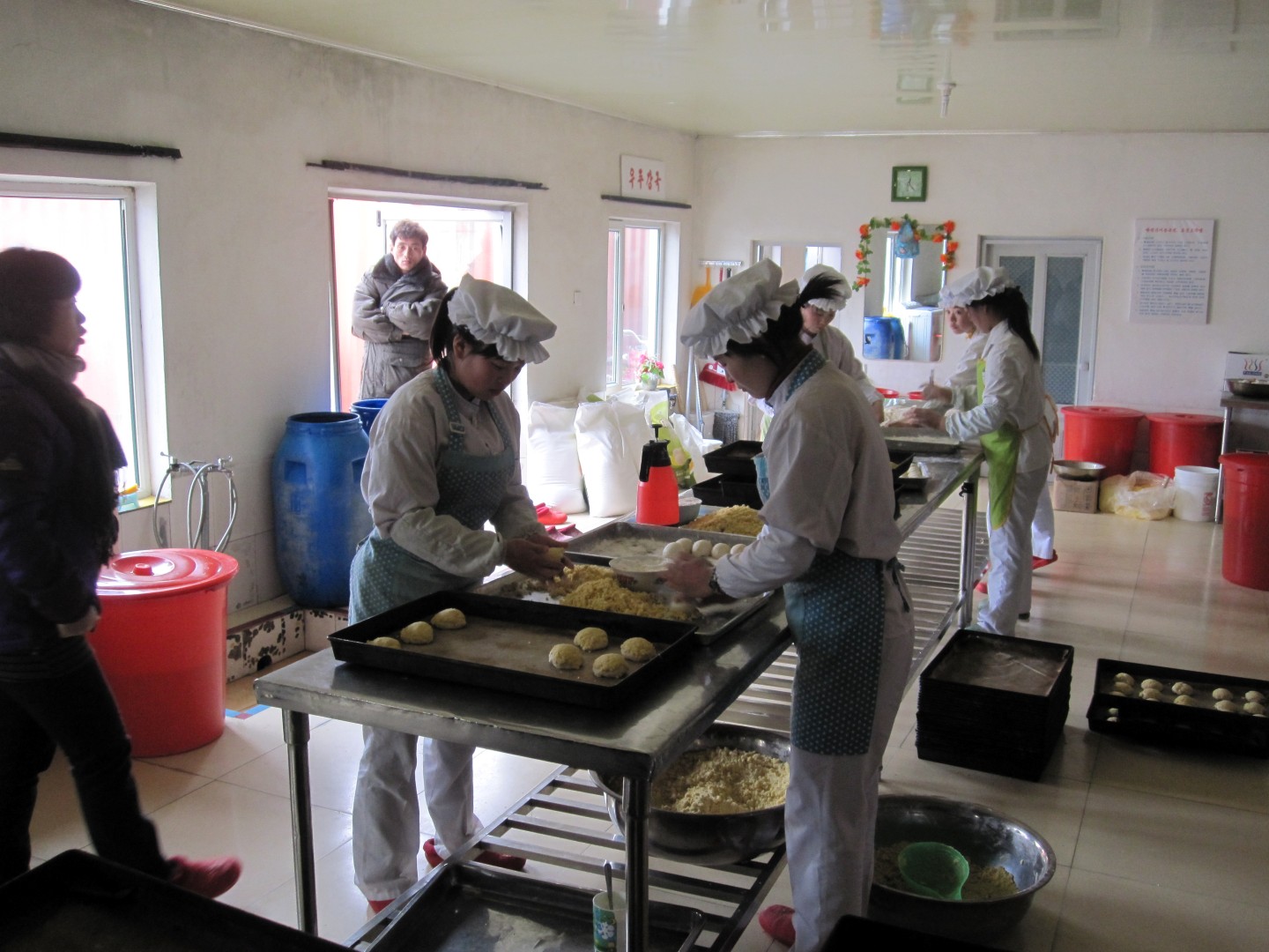 IMG_1271 (Large).JPG
