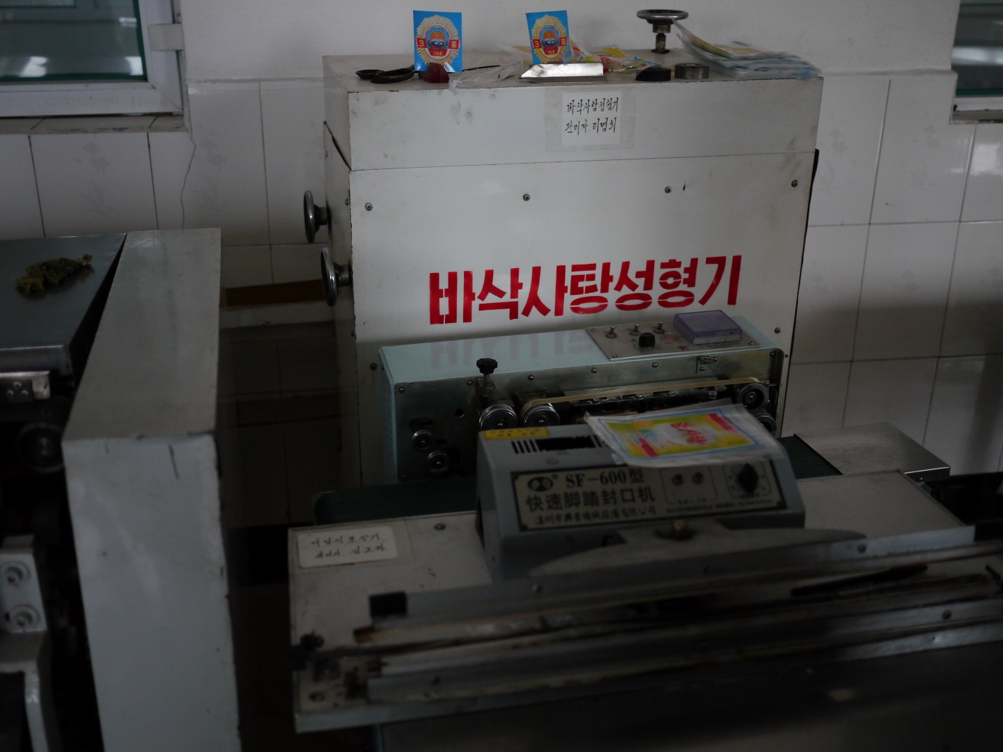 P1010641 (Large).JPG
