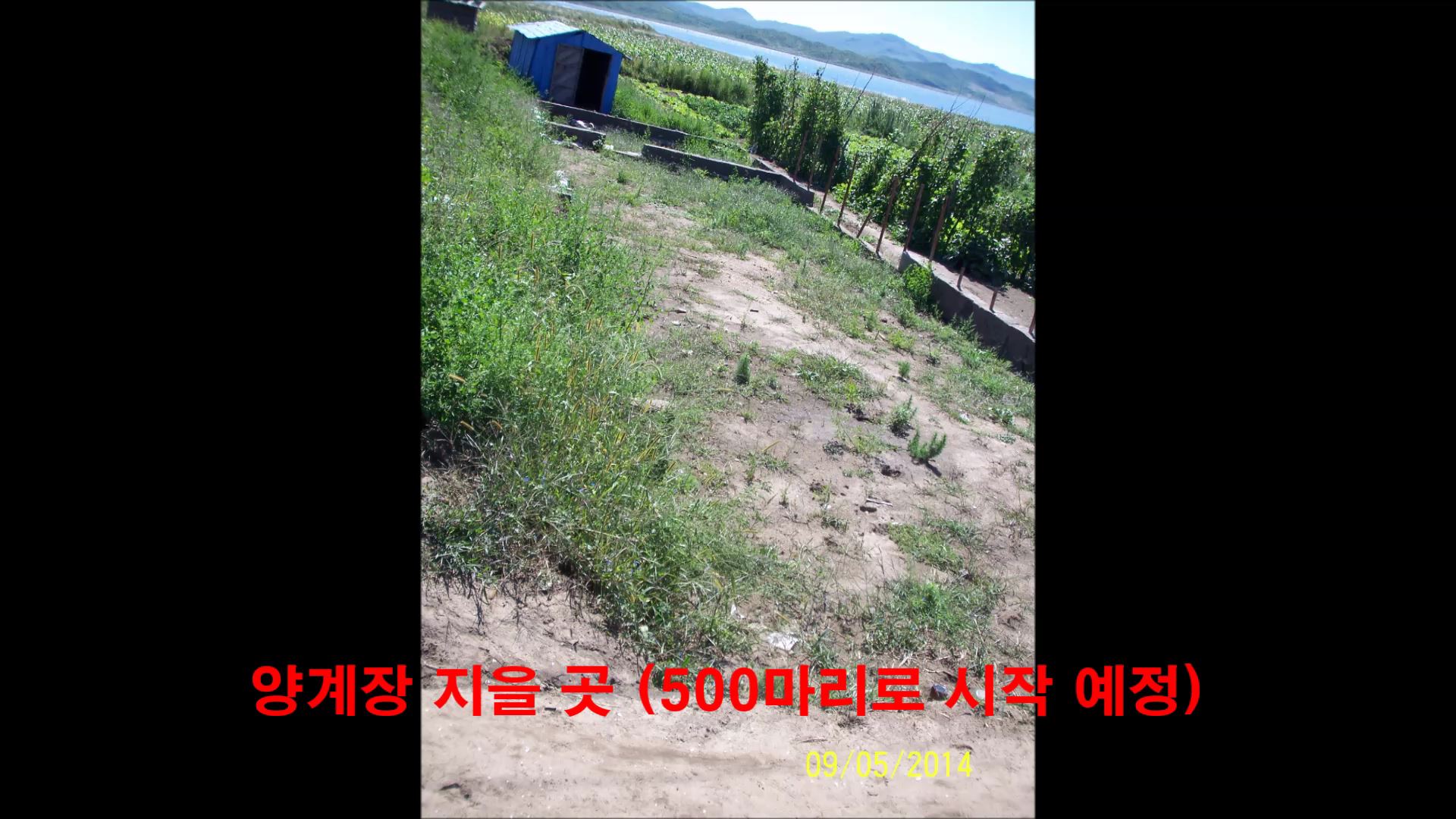 2014 Rason Trip #1. 라진과 선봉.mp4_000338605.jpg