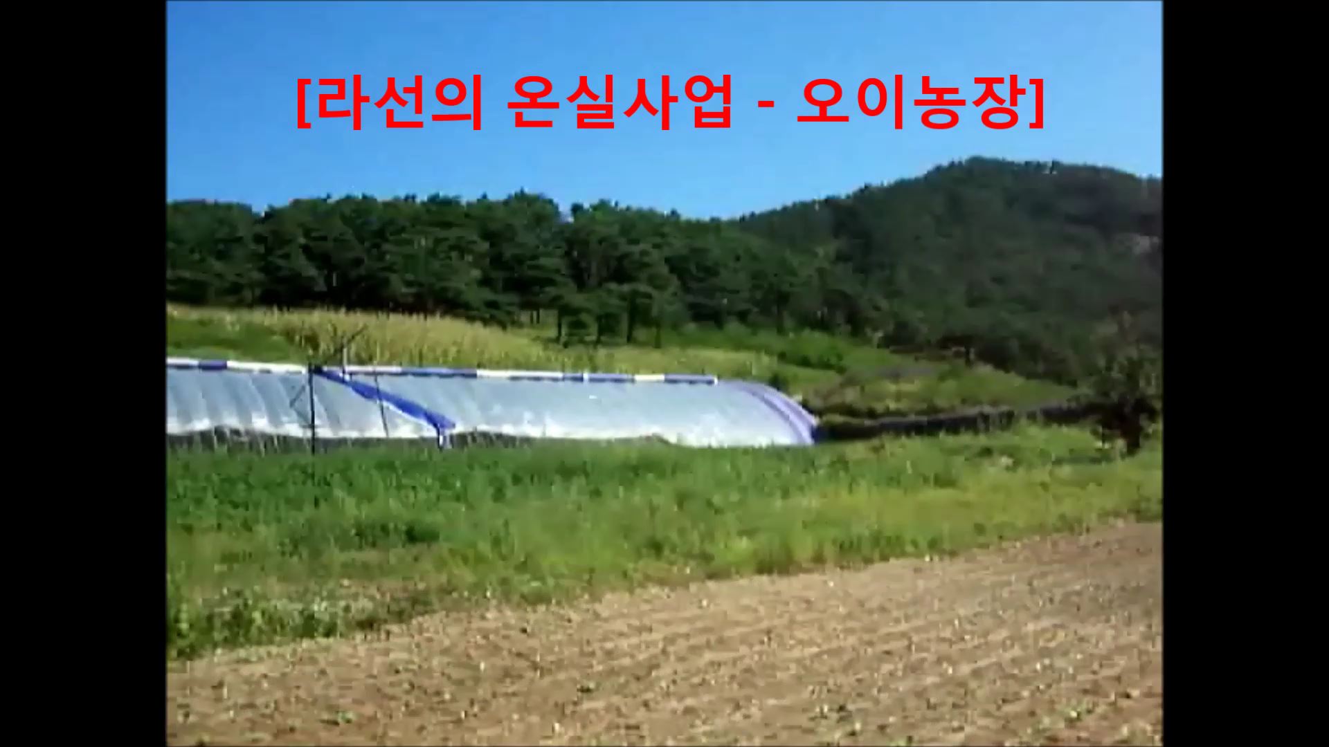 2014 Rason Trip #1. 라진과 선봉.mp4_000411578.jpg