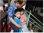 7.gif